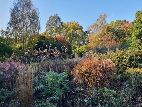 Late October Glory