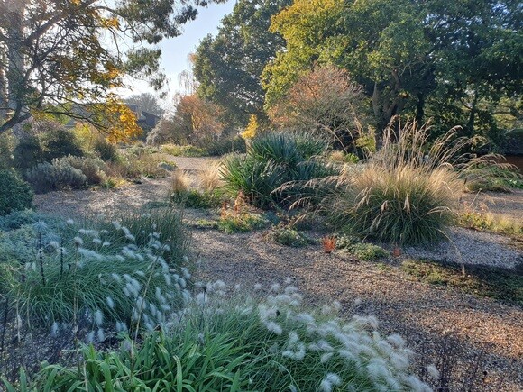 Late October Glory