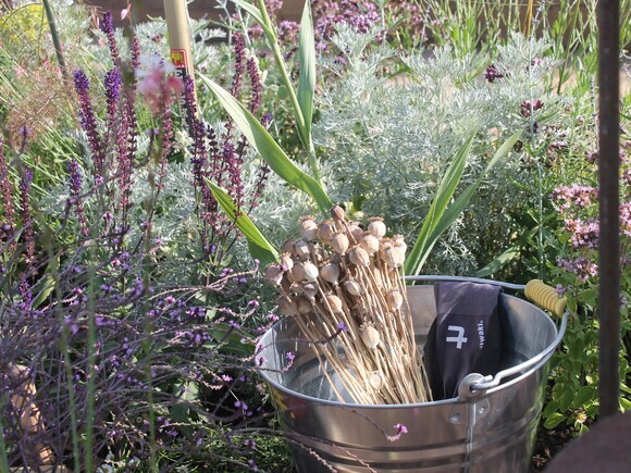 Growing with Many Hands - RHS Sandringham Flower Show 2026 Growing with Many Hands - RHS Sandringham Flower Show 2026