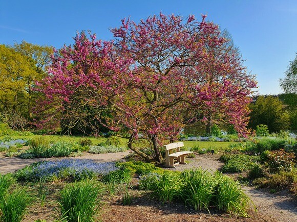 The gardens are bursting into bloom The gardens are bursting into bloom