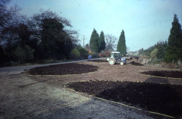Gravel Garden Creation and Maintenance Gravel Garden Creation and Maintenance