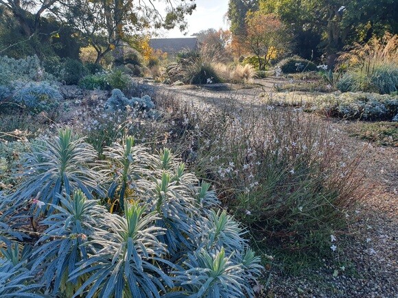 Late October Glory