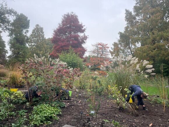 Autumn Planting: helping gardeners adapt to a changing climate