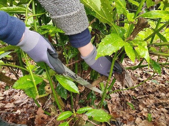 Our favourite garden tools 