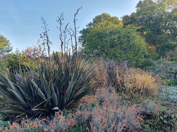 Late October Glory