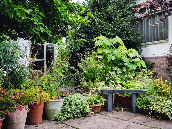 Container gardening