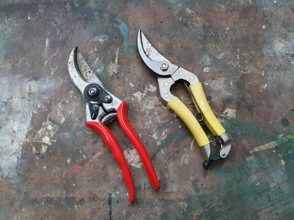 Our favourite garden tools 