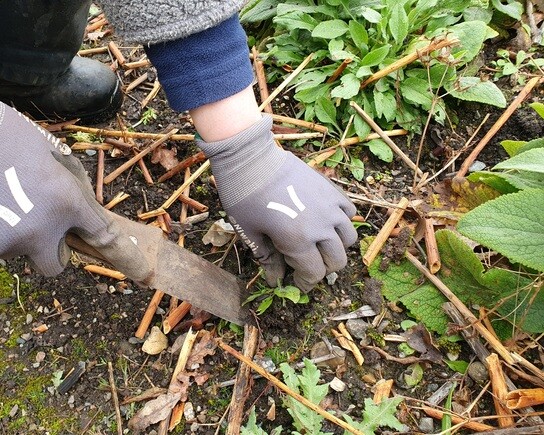 Our favourite garden tools 