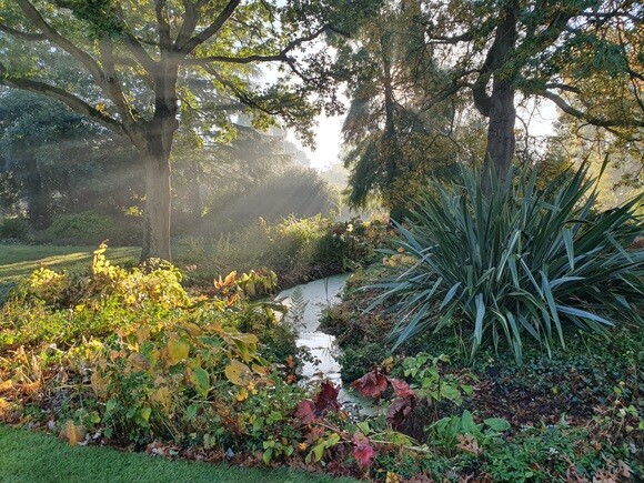 Late October Glory
