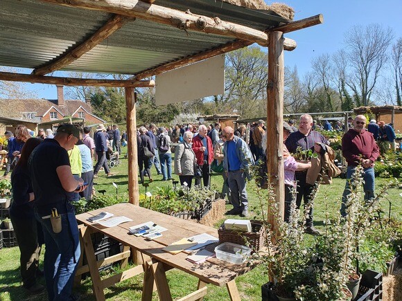 Luminous euphorbias and the fabulous Great Dixter Spring Plant Fair Luminous euphorbias and the fabulous Great Dixter Spring Plant Fair
