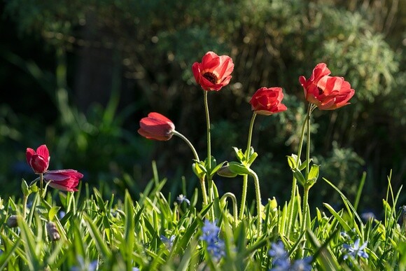 Wild Words from the Ground  February & March