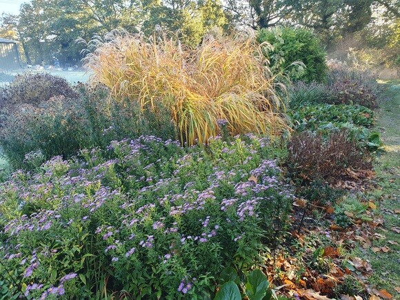 Late October Glory