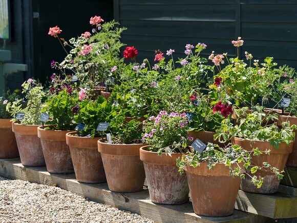 Container gardening