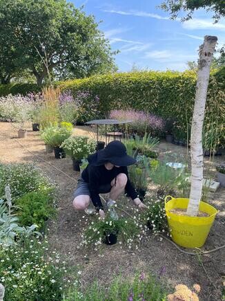 Growing with Many Hands - RHS Sandringham Flower Show 2026 Growing with Many Hands - RHS Sandringham Flower Show 2026