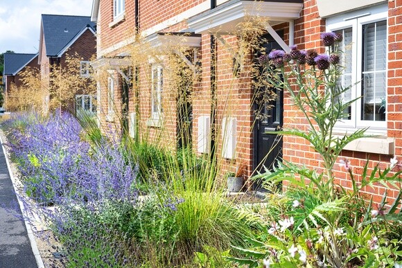 Chattowood and its insects: the first four years