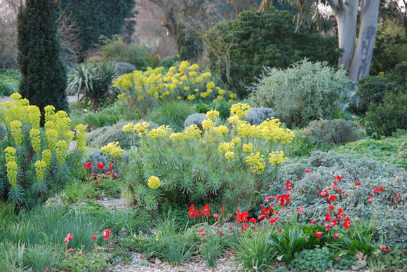 The gardens are bursting into bloom The gardens are bursting into bloom