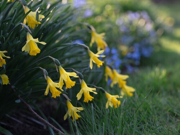 The Gaze of Narcissus The Gaze of Narcissus