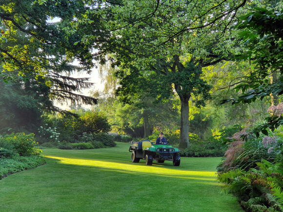 Autumn jobs in the garden