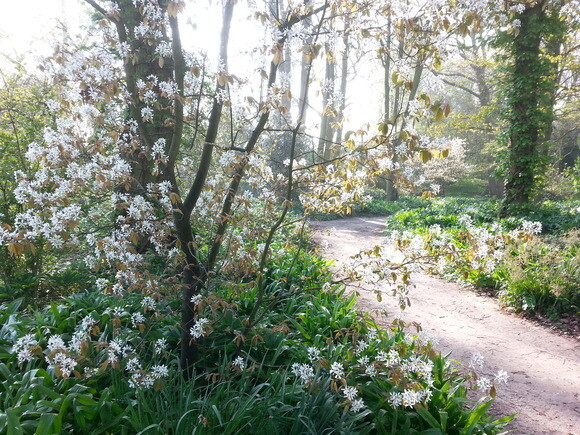 The gardens are bursting into bloom The gardens are bursting into bloom