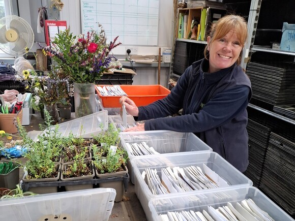 Seed sowing in winter