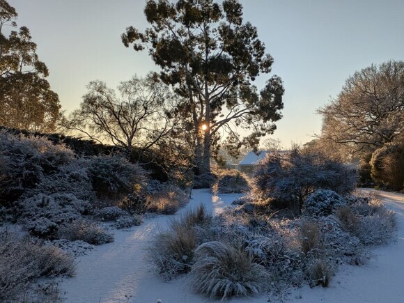 Wild Words from the Ground - December/January