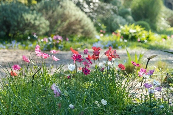 Wild Words from the Ground - March