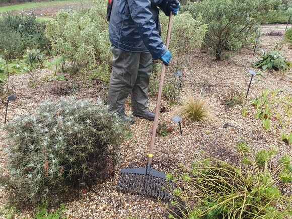 Our favourite garden tools 