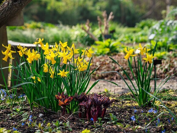 The Gaze of Narcissus The Gaze of Narcissus