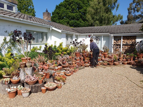 Container gardening