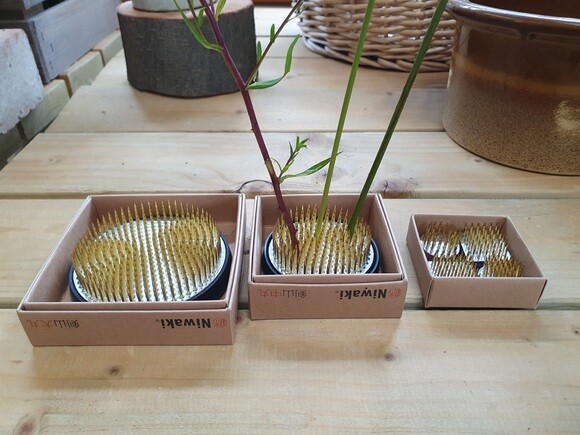 Our Propagation Expert Emily's Favourite Tools
