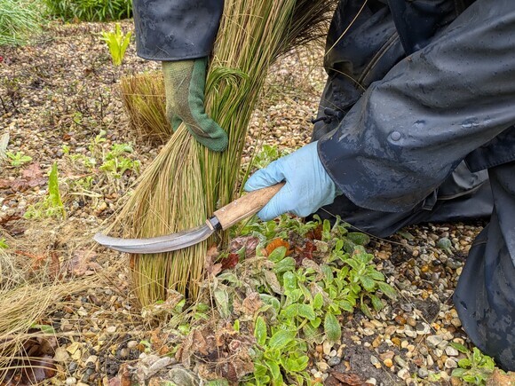 Our favourite garden tools 