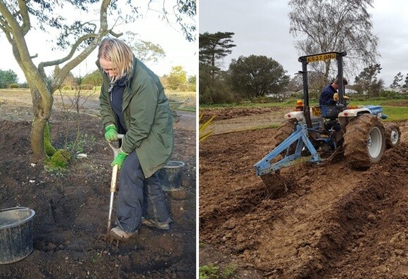 Reservoir Garden rejuvenation Reservoir Garden rejuvenation