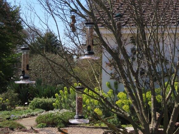 Feeding the birds at the Beth Chatto Gardens