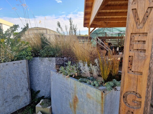 Urban planters experiment
