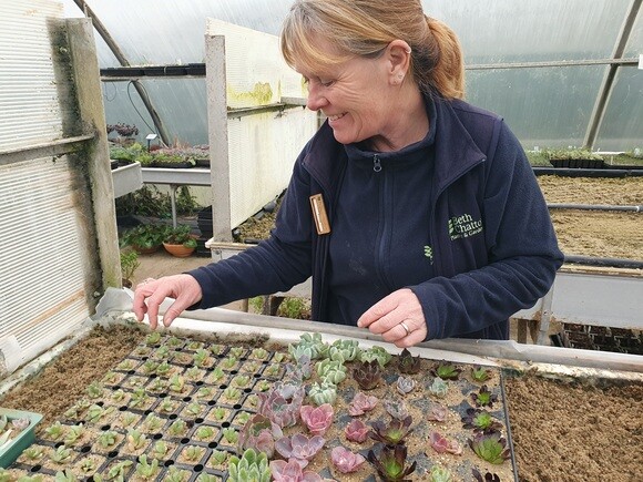 Our Propagation Expert Emily's Favourite Tools
