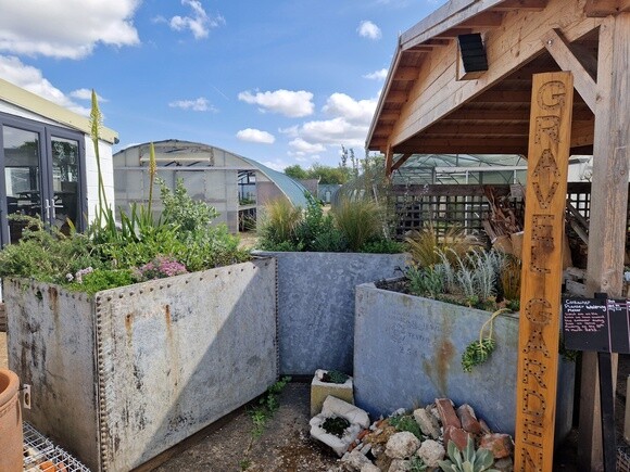Urban planters experiment