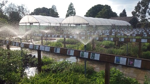The Nursery