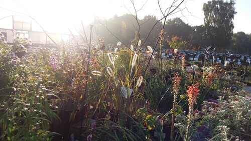 The Nursery