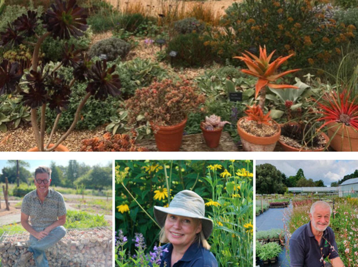 Young Propagators Society event at The Beth Chatto Gardens