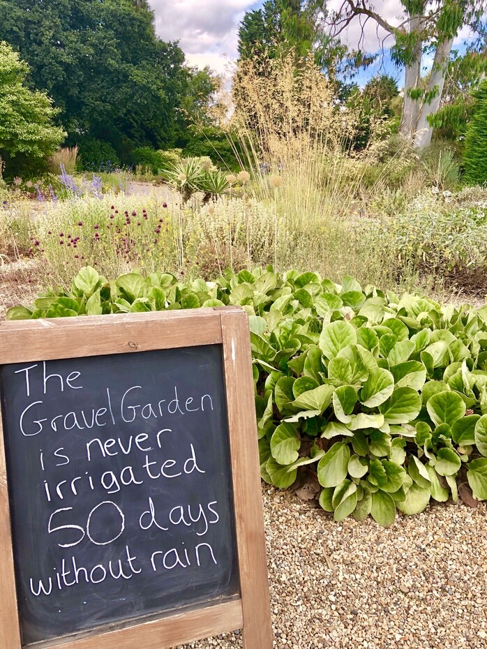 50 days without rain and counting