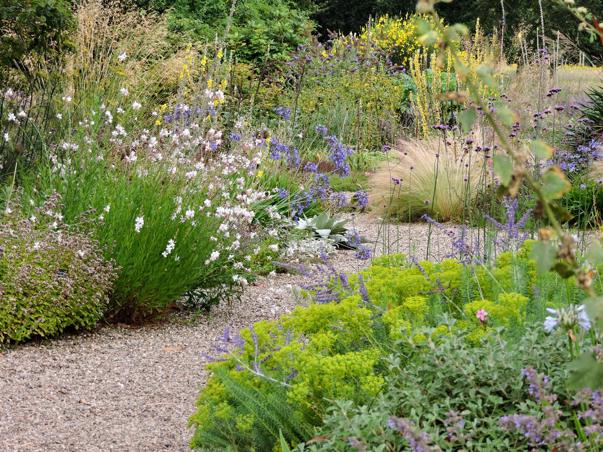 Getting Started in Gardening