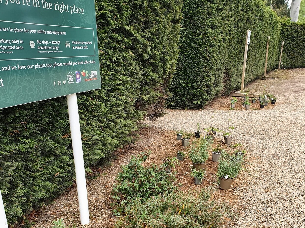 A new area of drought tolerant planting at the garden entrance