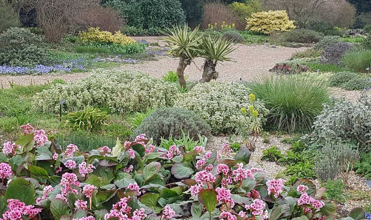 Some of our favourite plants for spring
