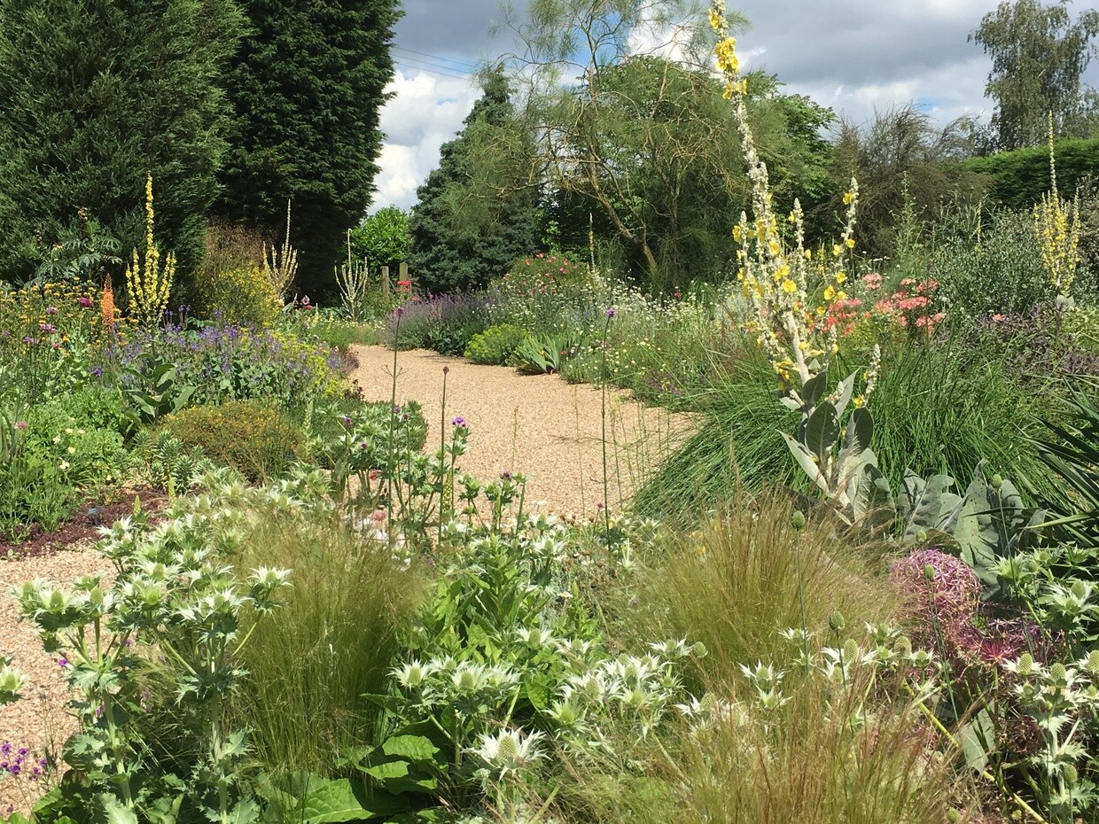 Top 10 plants for Autumn Interest