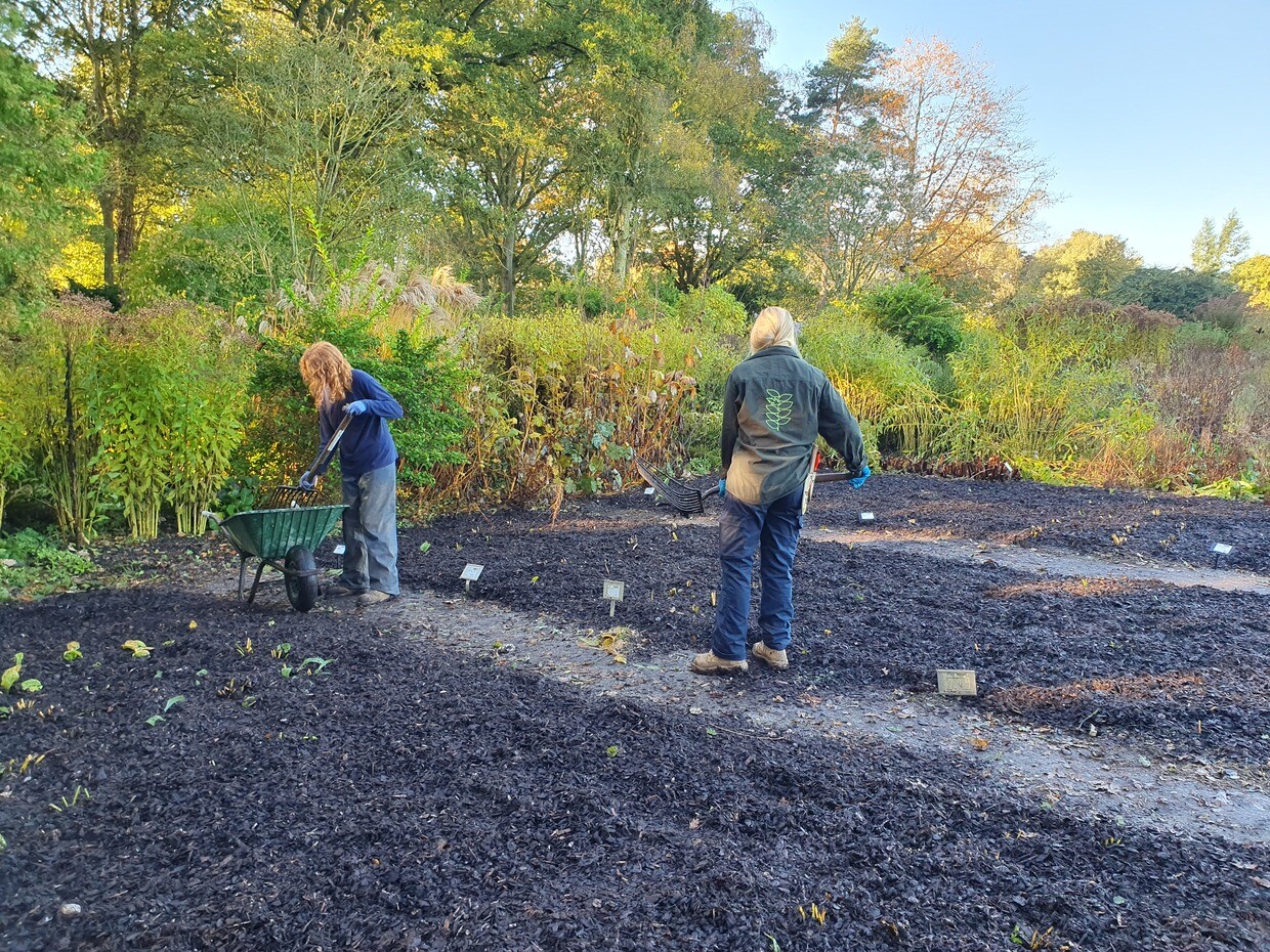 Preparing for winter with the propagation team