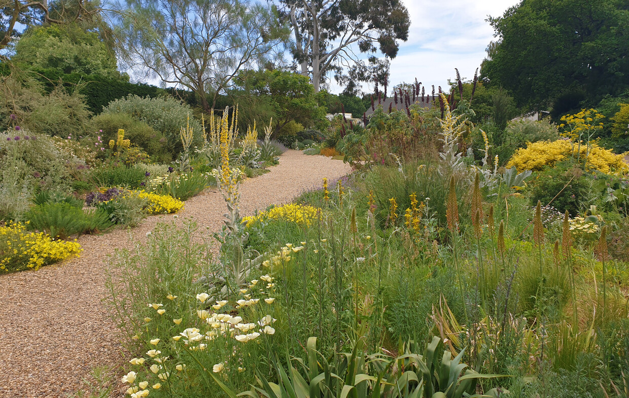 Plant combination ideas in May