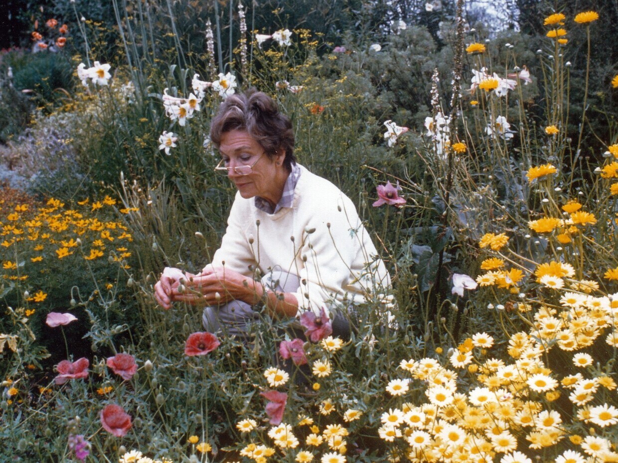 Beth Chatto- Lifetime Achievement Award 2014- Society of Garden Designers