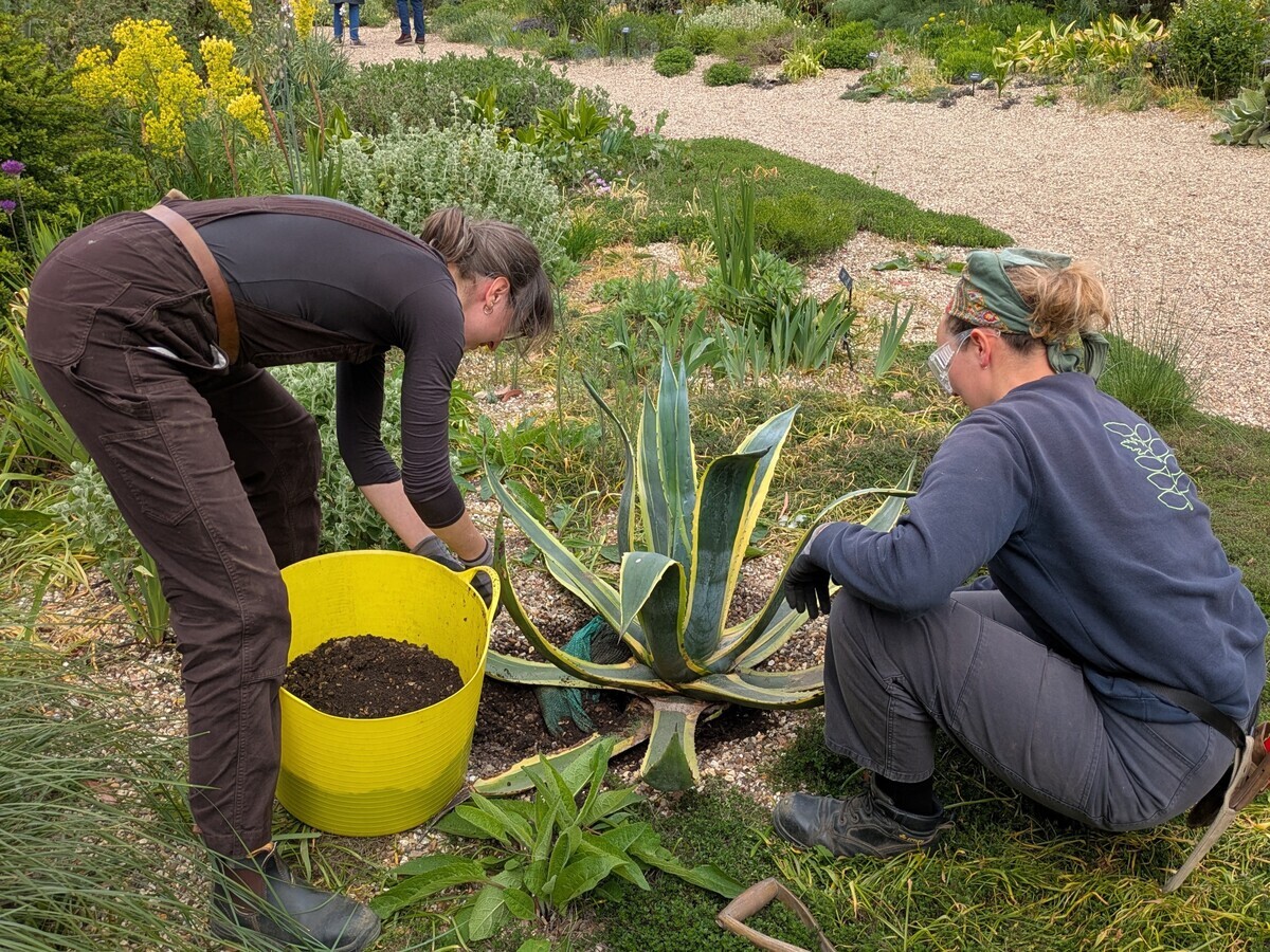 Weekly catch up with gardens & propagation