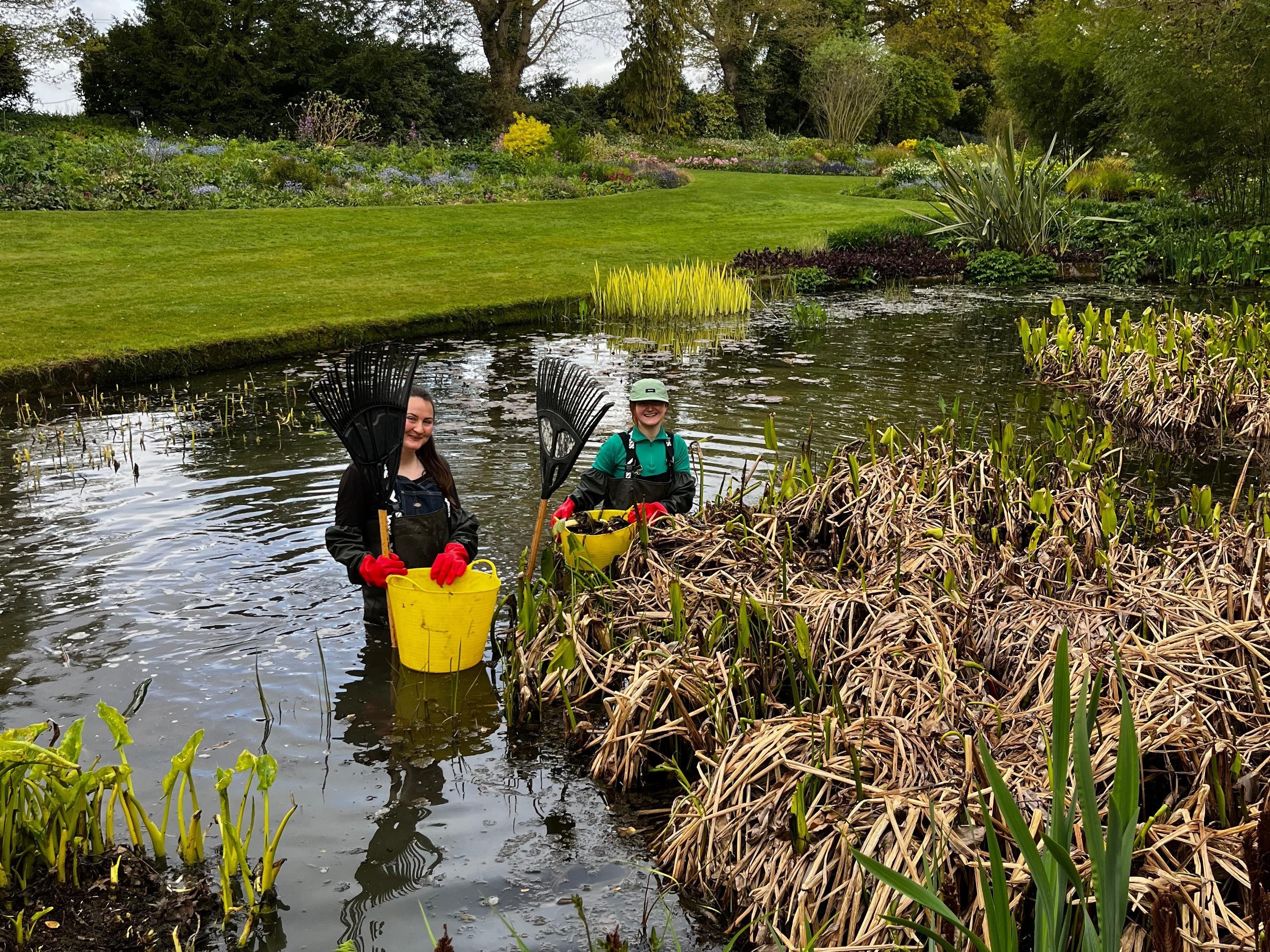 Weekly catch up with garden & propagation