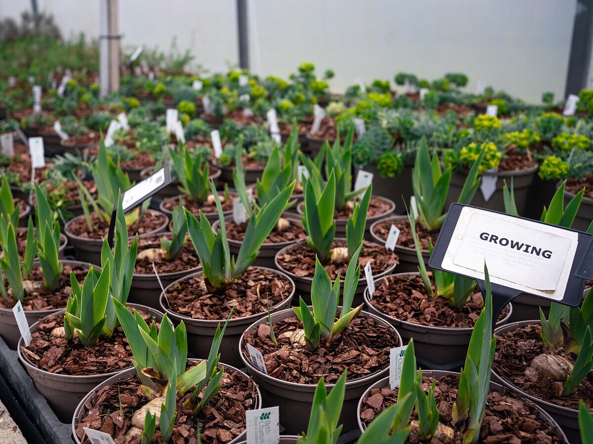 Our Peat Free Journey